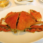 家全七福酒家 SEVENTH SON RESTAURANT - 