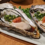 海音 - 松島産生牡蠣