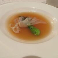 中国料理 皇家龍鳳 - フカヒレ醤油煮込み