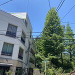 さふらん - 2020年6月。