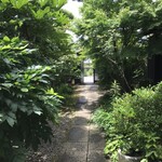 イロドリ - 庭のエントランス、手入れが行き届いています