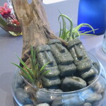 プレゼンテ スギ - 