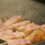 河南テジチッ - 