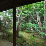 自家焙煎珈琲 森の響 - 