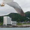 夜食処 はまなす - 