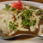 Higashishinjuku Dainingu Ba- Iruka - カレーアップ！