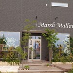 +Marsh Mallow - 