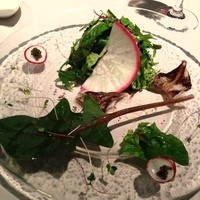 サンタ・マリア・ノヴェッラ・ティサネリーア 京都店 - 