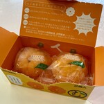 軽食喫茶 どんぐり - むかん