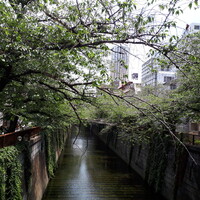 割烹 柚葉 - 