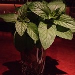 ドランブイ - 自家製ミン（2014年度）