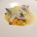 オールド コースト プリュス - アオリイカと貝類のサフランリゾット