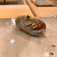 鮨 まるふく - 鰯