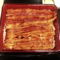 うなぎ 目白ぞろ芽 - 