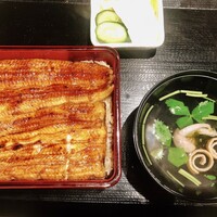 うなぎ 目白ぞろ芽 - 
