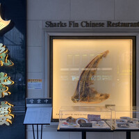 筑紫樓 銀座店 - 