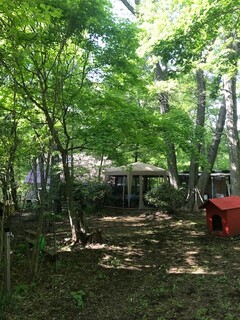 Aromatherapy & Cafe Bube - Terrace Seating in the Forest