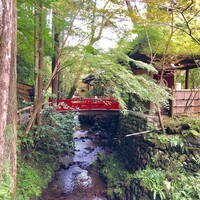 うかい鳥山 - 