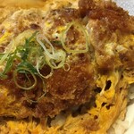 かつ丼･とんかつ あかつき - かつ丼ご飯大