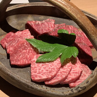 日本焼肉はせ川 表参道店 - 