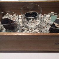 Terres de Truffes, Tokyo - 