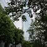 ラーメン二郎 - 緑が増えたインターシティ