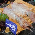 いけす料理 磯太郎 - 