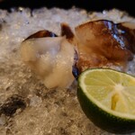 緒方 - 焼き鳥貝