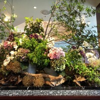 銀座 ハプスブルク・ファイルヒェン - 