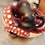 そば処 つる岡 - 釣って来たタコ