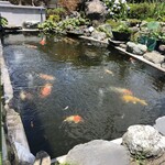 カフェアンドショップ ロータスランド - 池の鯉になりたい暑さ
      2020/06/24
      まるごとにんじんパン 400円
      たっぷり野菜と大豆ミートのポケットサンド 250円
      人参ドレッシング付き