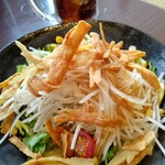 炭火居酒屋 炎 - 料理写真:ゴボウサラダ