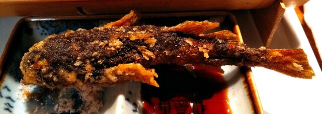 川魚料理 花寿司 矢吹 寿司 食べログ 川魚料理 花寿司 矢吹 寿司 食べログ
