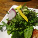 タケル クインディチ - 地野菜のサラダ