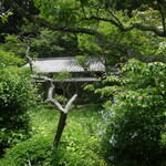 タケル クインディチ - 東慶寺