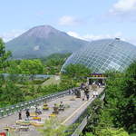 レストラン 花かいろう - とっとり花回廊は大山の見える植物園です