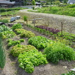 Kyoubi Diya - できる限り自家菜園の野菜を使っています