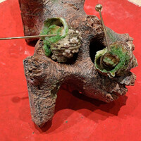 ローズルーム名古屋 - 