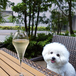 恵比寿 箸庵 - ８ヶ月振り〜〜♬