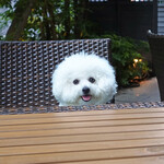 恵比寿 箸庵 - I’m so happy to be back!!