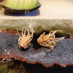 てんぷら　成生 - 