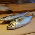 てんぷら　成生 - 