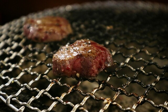 焼肉マイスター かなchan ヤキニクマイスター カナチャン ししぶ 居酒屋 ネット予約可 食べログ 焼肉マイスター かなchan ヤキニクマイスター カナチャン ししぶ 居酒屋 ネット予約可 食べログ