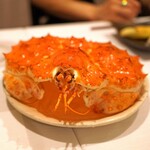 Ubu Ka - 北海道紋別産のたらば蟹