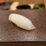 あま木 - アオリイカ