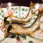 壽山 - 琵琶湖の鮎