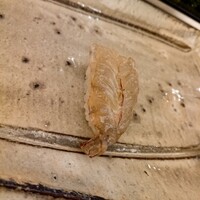酔虎寿し - 