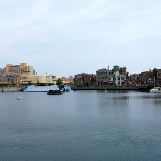 フォッシル・フュエルズ_2