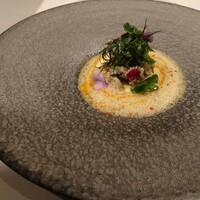 ジョンティ アッシュ - 