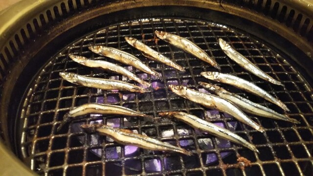 炭焼地鶏 しずく 加古川 炭火焼き 食べログ 炭焼地鶏 しずく 加古川 炭火焼き 食べログ